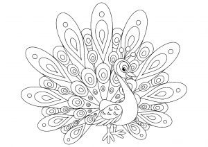 Coloring simple peacock