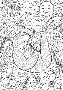Sloth under the sun