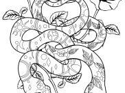 Snakes Coloring Pages for Adults