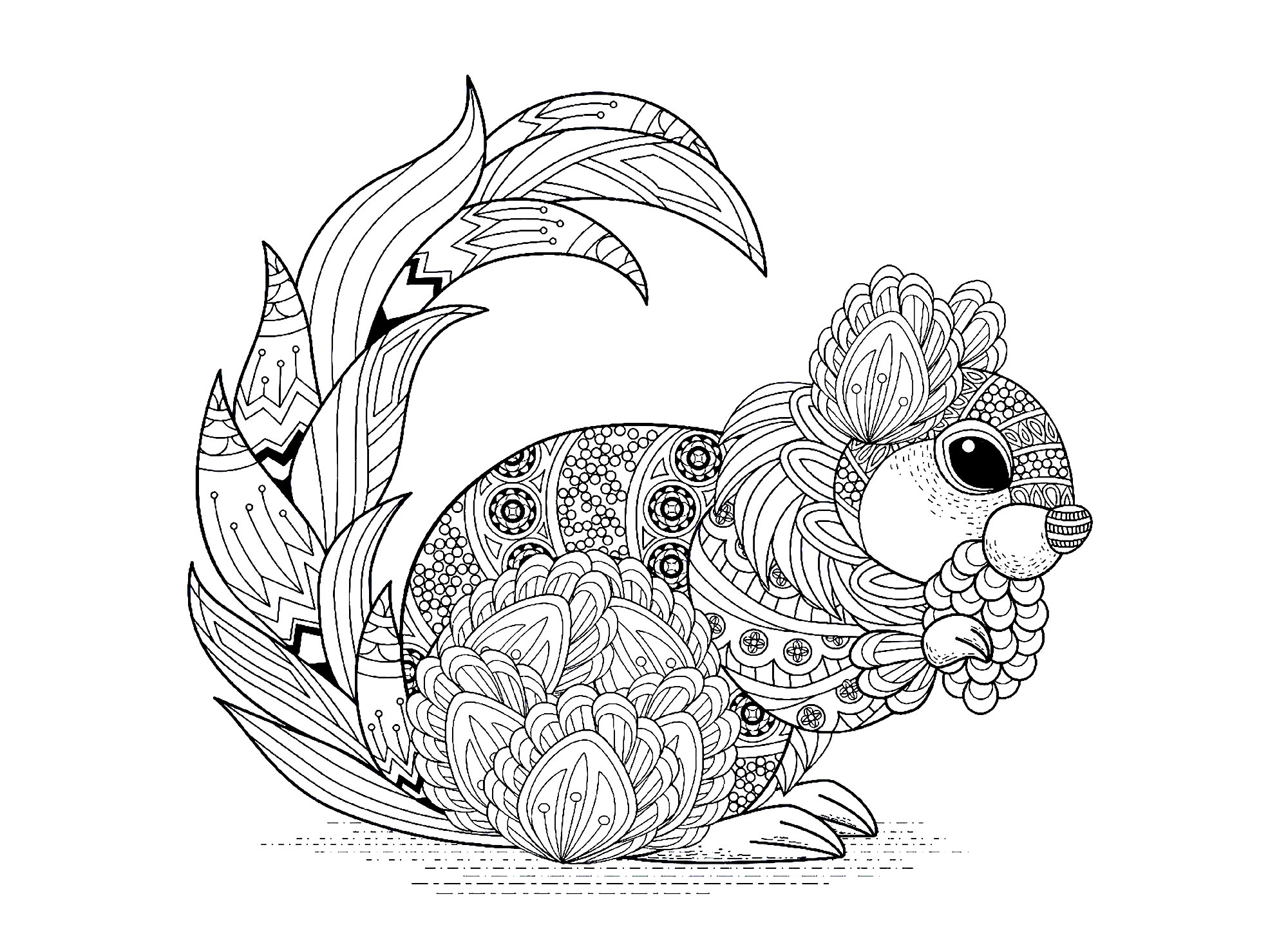 Squirrel with patterns - Squirrels & Rodents Adult Coloring Pages