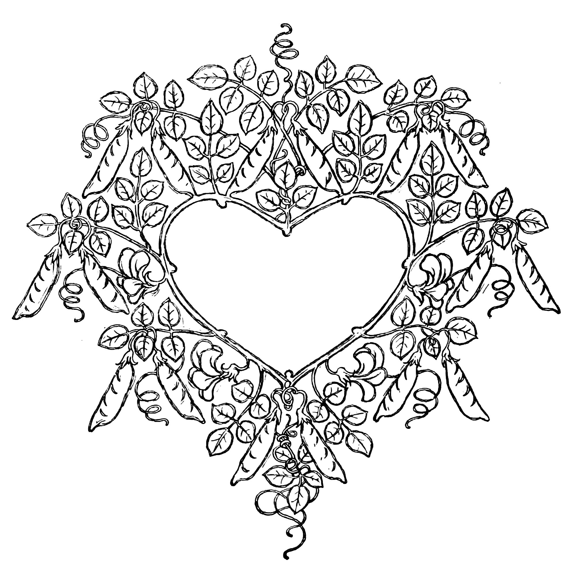 fairies in love coloring pages