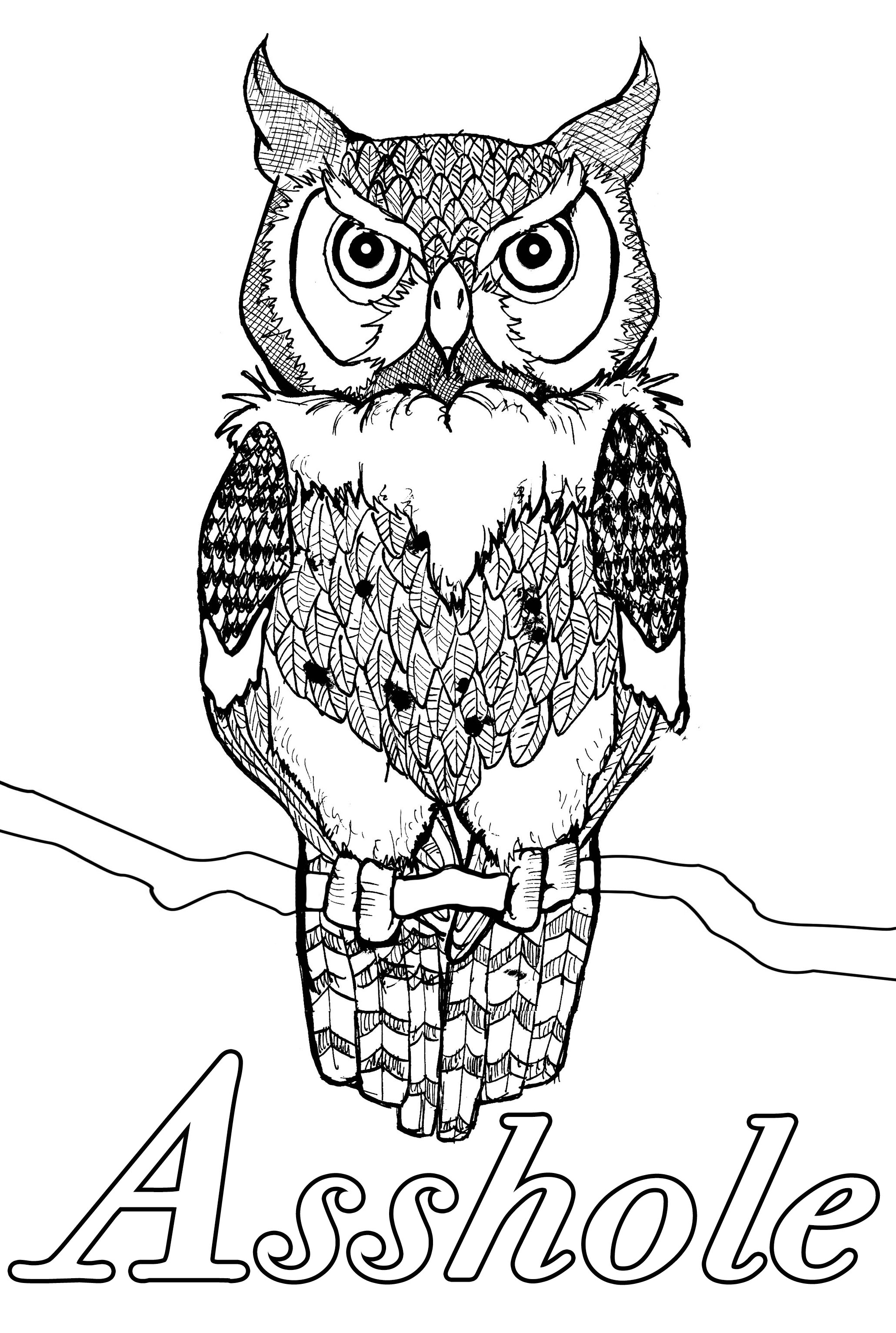 Asshole : Swear word coloring page with owl with a serious look
