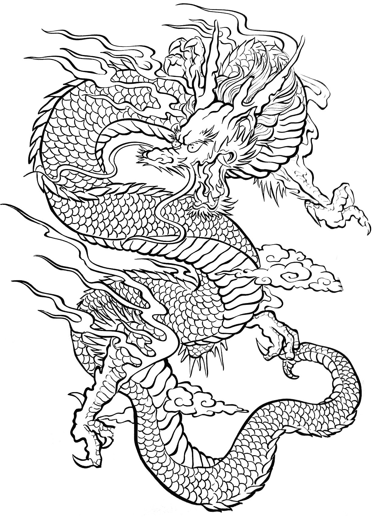 Gambar Tatouage Dragon Tattoos Coloring Pages Adults Justcolor Image ...