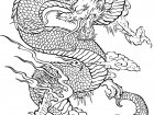 Coloring tattoo dragon