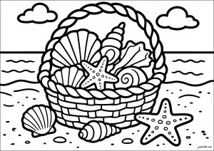 Basket of seashells on the beach