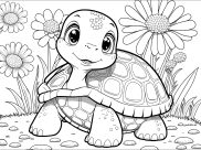 Turtles Coloring Pages for Adults