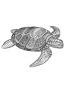 Coloring free book turtle 1