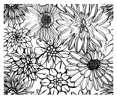 Coloring of various flowers