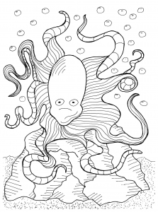 Coloring adult big octopus