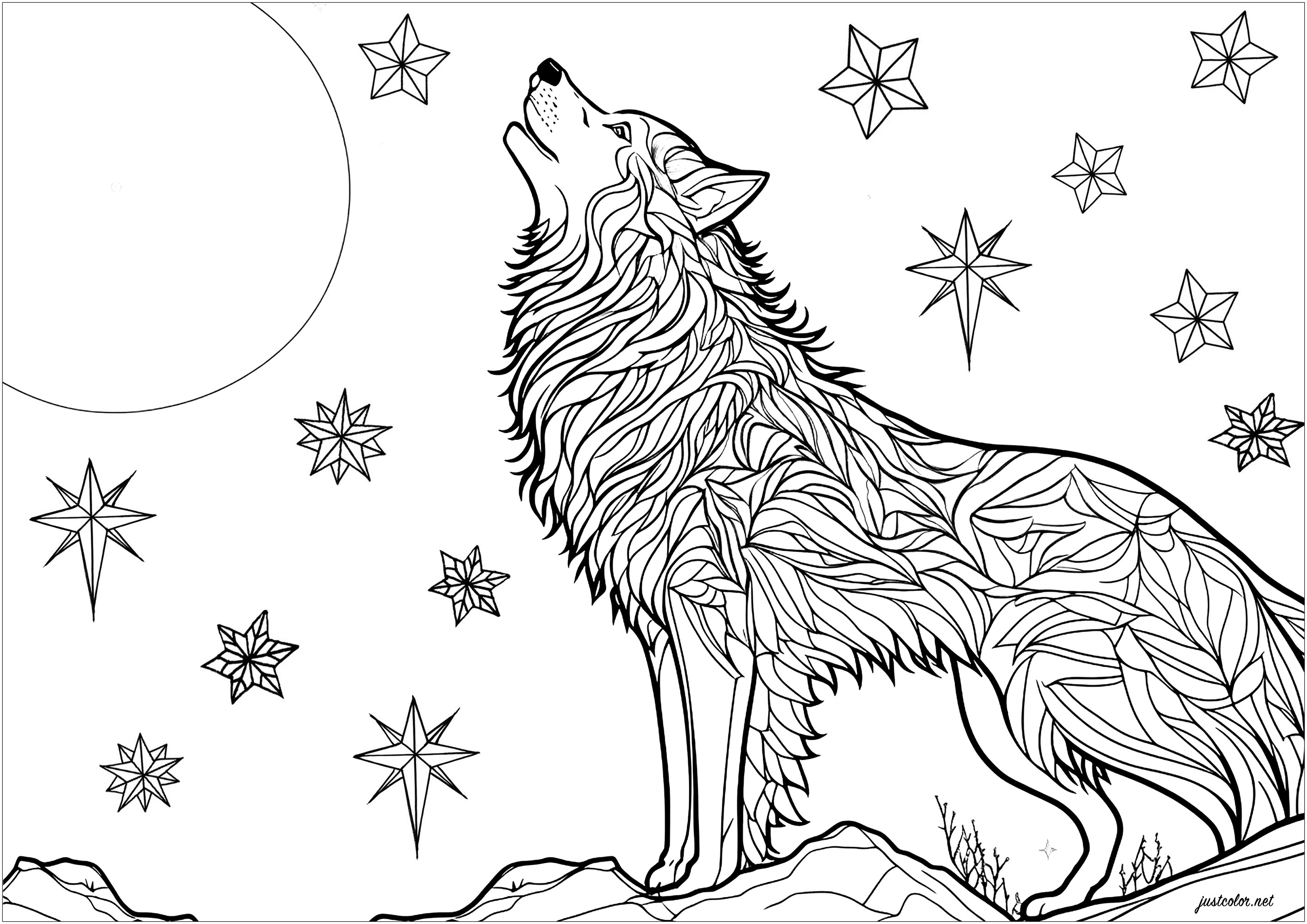 Coloring a wolf howling in the moonlight. Magnificent scene with a wolf howling at night, resting on a rock. Twinkling stars can be seen in the night sky. The wolf's fur patterns can be colored independently, for a result full of mystery and magic.