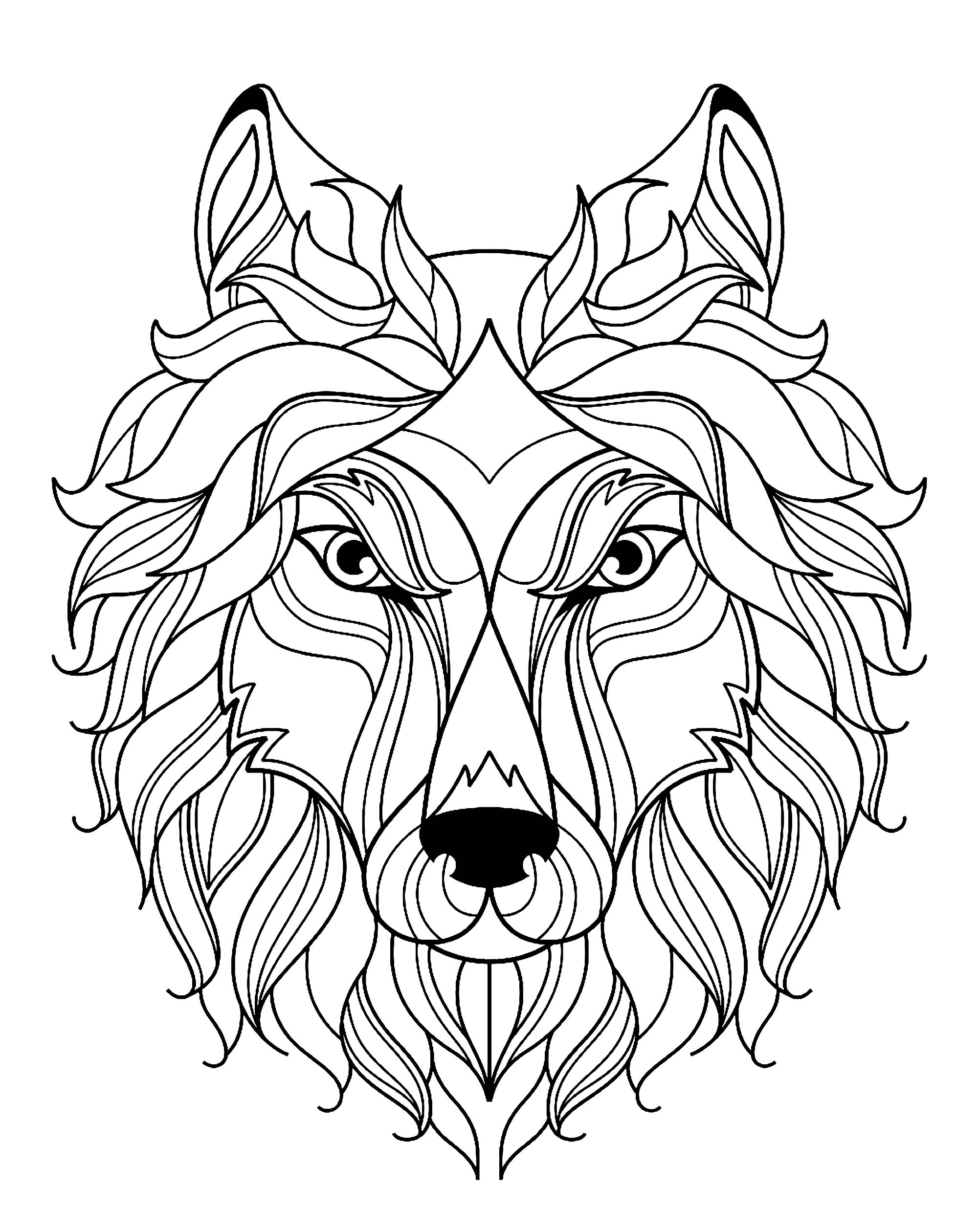 Download Big wolf head simple - Wolves Adult Coloring Pages