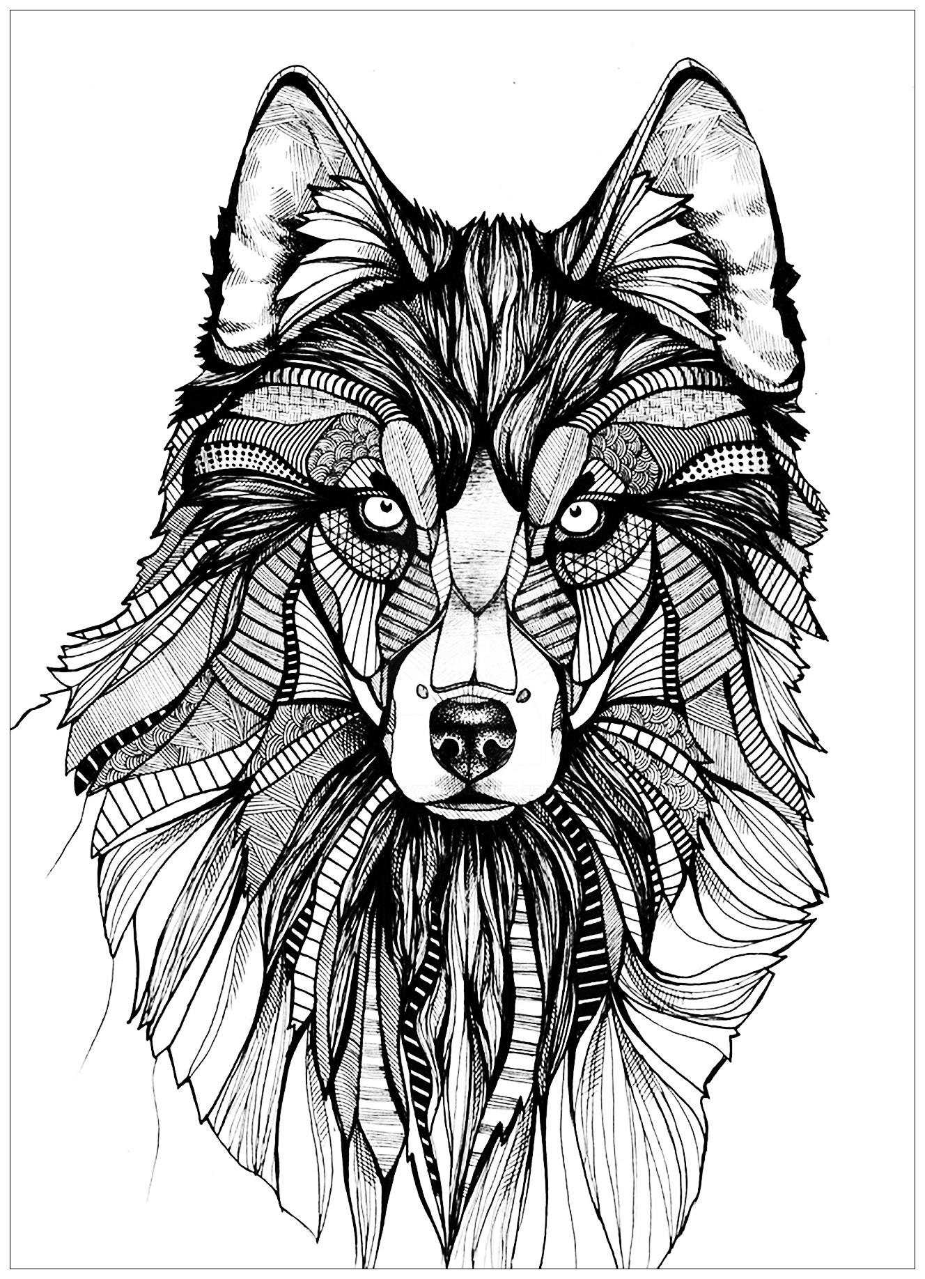 Wolf 3  Wolves Adult Coloring Pages