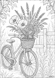 Decorative bike