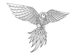 Printable Coloring Page for adult : Zentangle Parrot