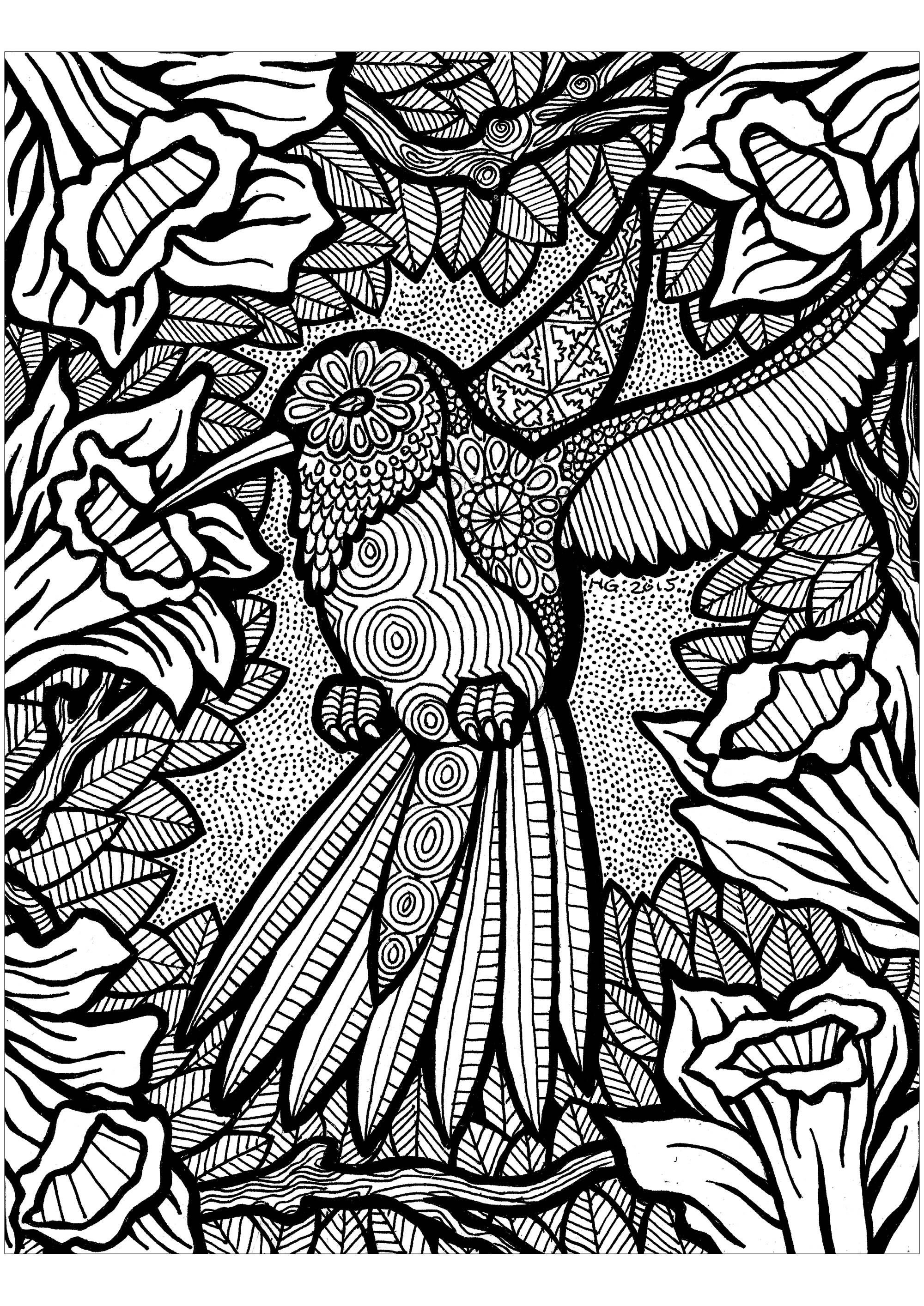 Help this hummingbird fly - all it needs are a few colors!. Coloring with very thick main lines, Artist : HGCreative. Arts