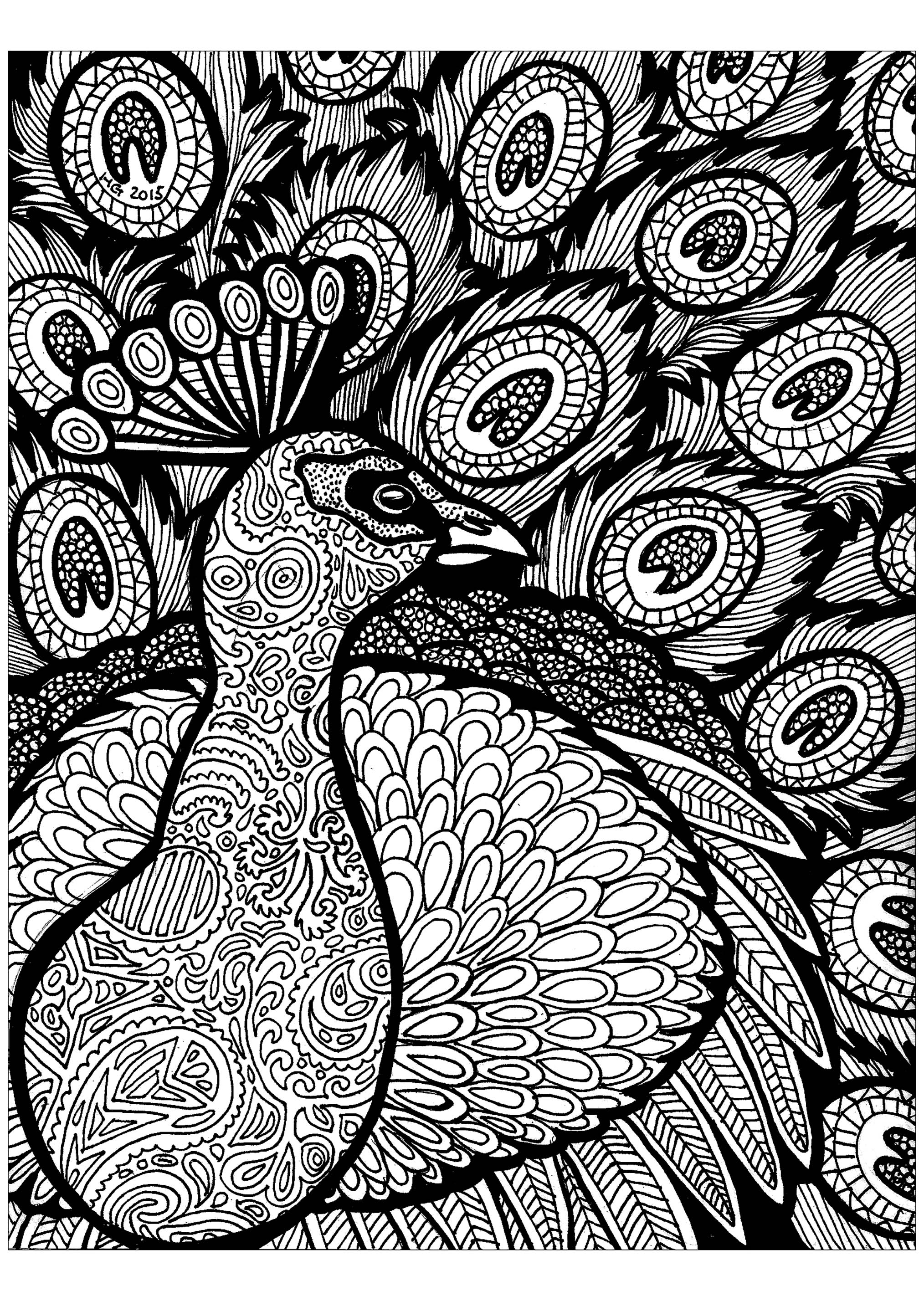 Download Lines of the peacock - Zentangle Adult Coloring Pages