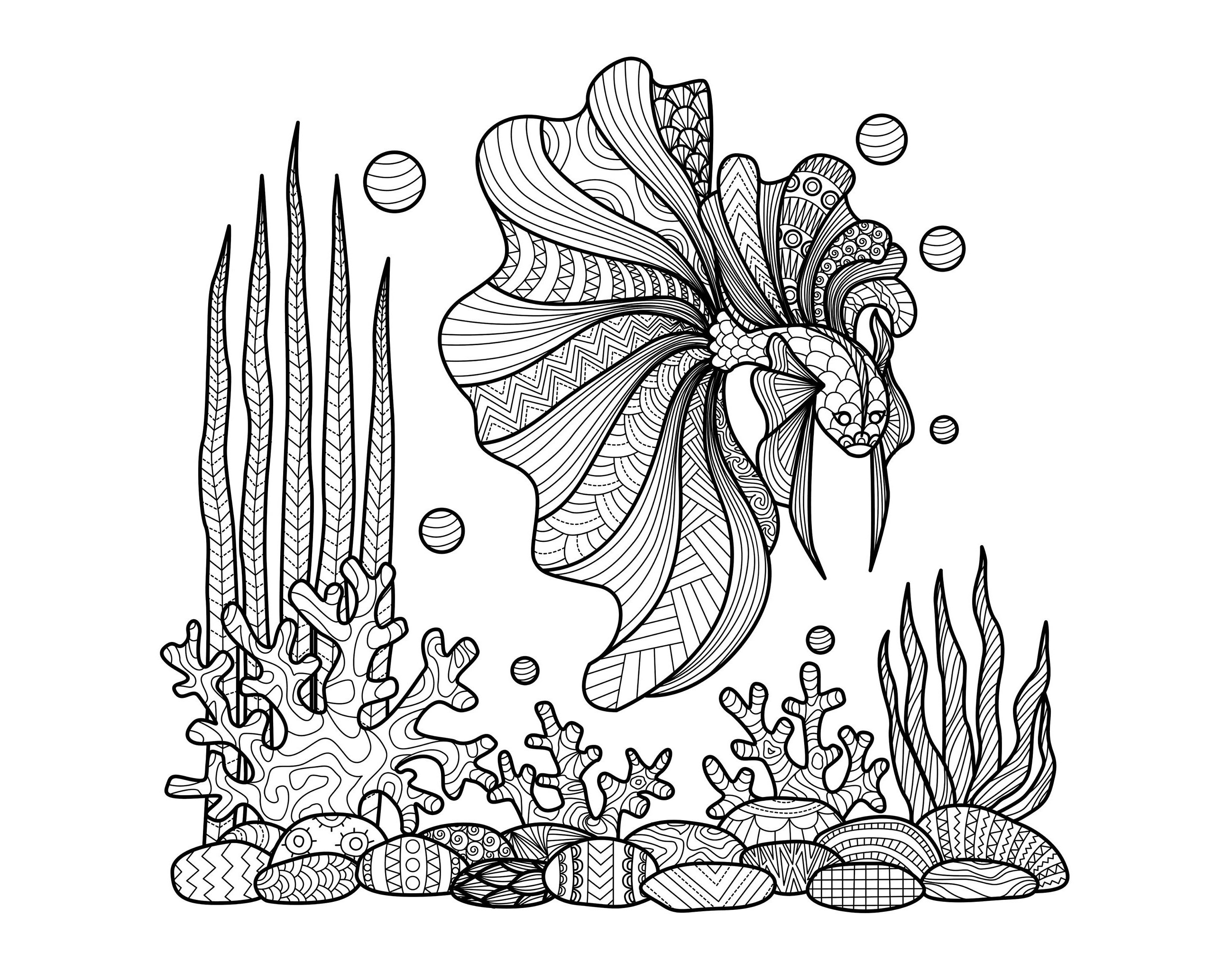 Gambar Zentangle Fish Corals Bimdeedee Coloring Pages Gallery Artist ...