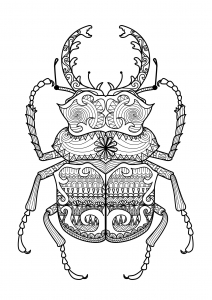 Coloring zentangle beetle by bimdeedee