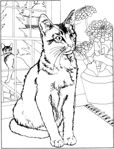 Download Mandala & Cat head - Cats Kids Coloring Pages