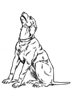 Printable dog coloring pages for kids