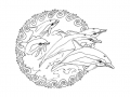 Free dolphin coloring pages to download