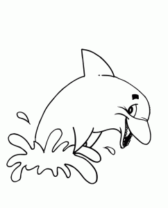 Dolphin image to download and color