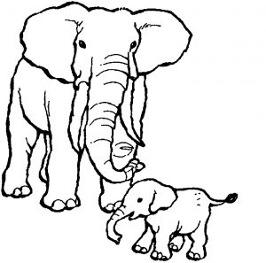 Elephant coloring pages to download