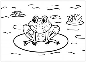 Zentangle stylized frog - Frogs Kids Coloring Pages