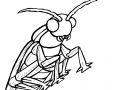 coloring-page-insects-to-download-for-free
