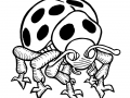 coloring-page-insects-to-color-for-children