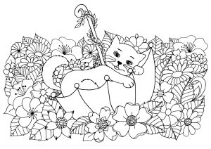 Libro para colorear para niños por colores gato de dibujos