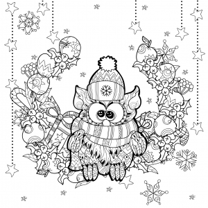 http://www.dreamstime.com/stock-photography-christmas-owl-gift-box-zentangle-doodle-vetor-illustration-layered-ready-coloring-image61965622