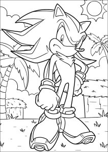 Shadow the Hedgehog Sonic e os anéis secretos Livro de colorir