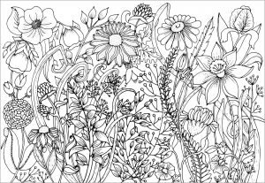 27 Cactos - Flores e vegetação - Coloring Pages for Adults