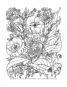 Desenho e Imagem Cacto Flor para Colorir e Imprimir Grátis para